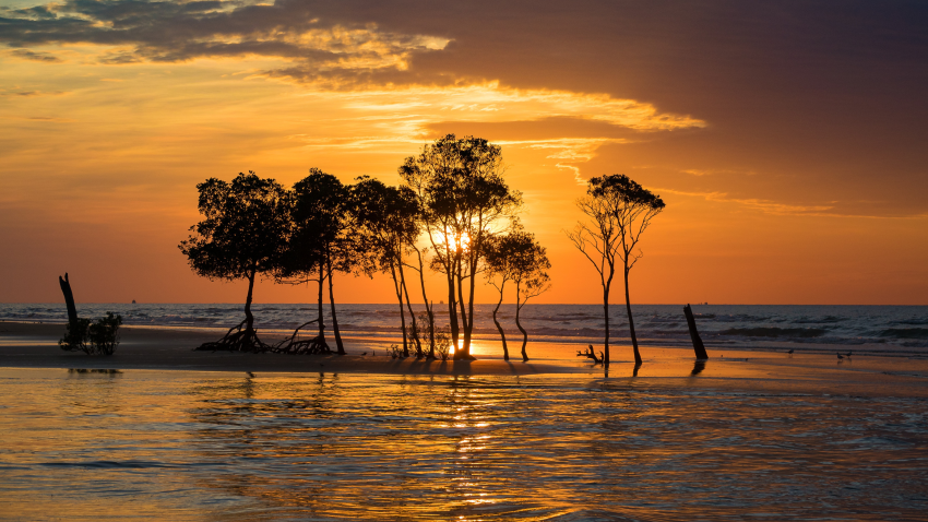 Exploring the Historical Charms of Darwin A Journey Through Time with Stay Your Way