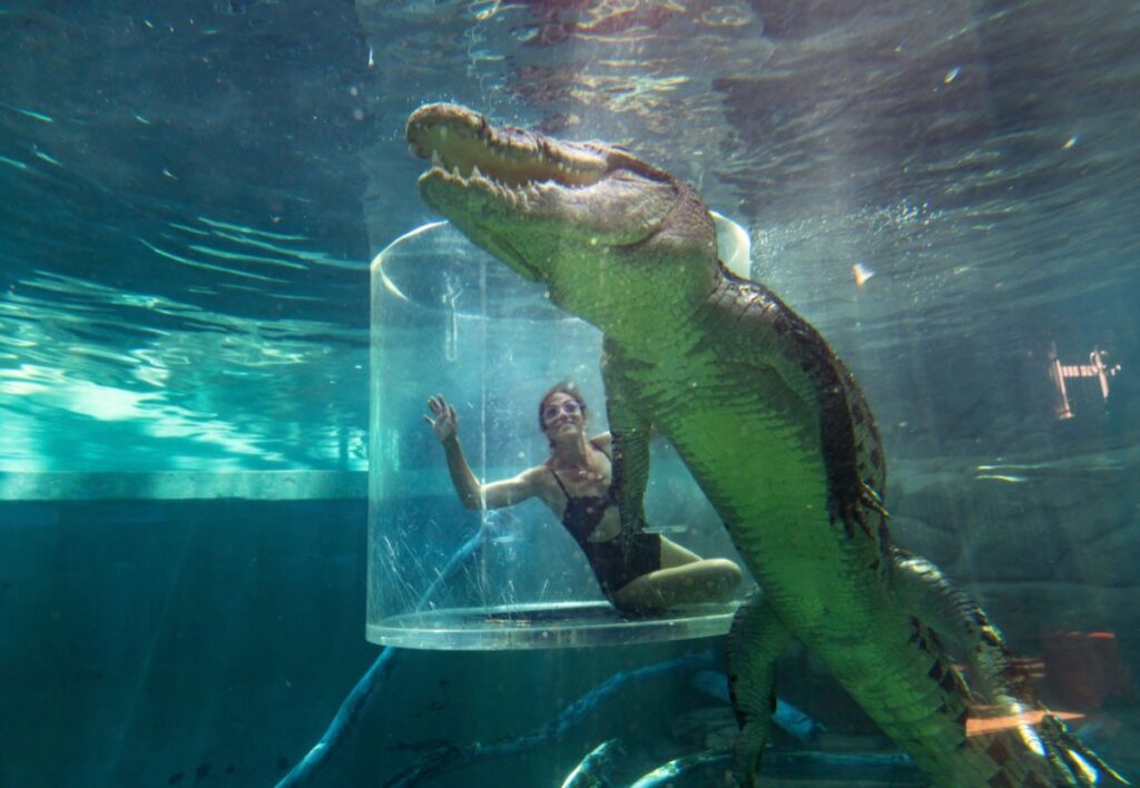 Family holiday accommodation - Darwin CBD - Stay Your Way - Crocosaurus Cove Cage of Death